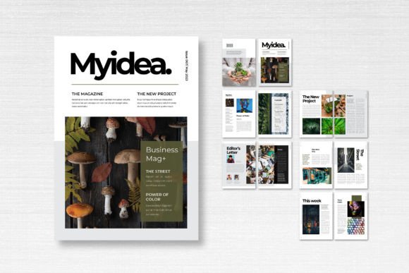 Streamline Your Editorial Design with the Nature Template